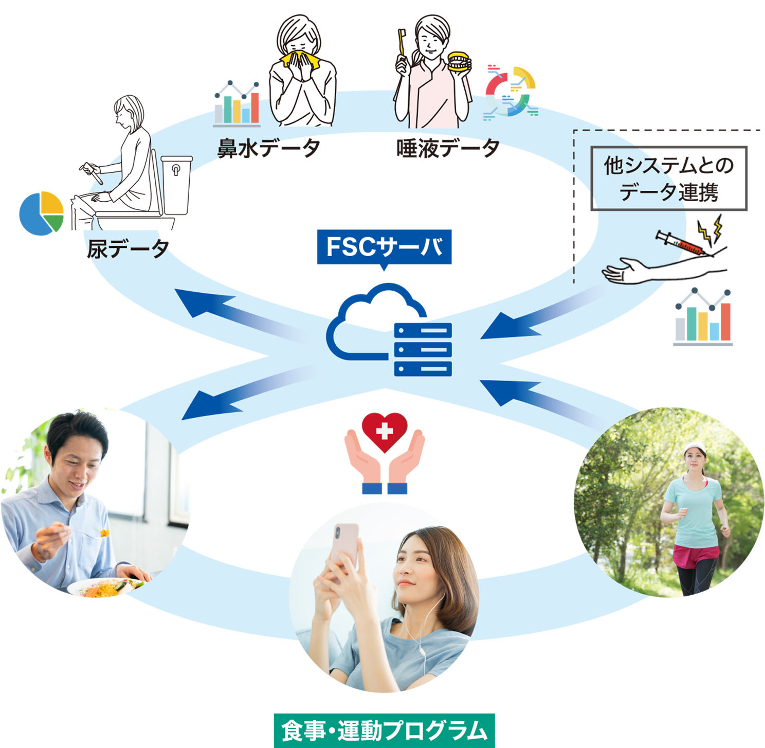 食事・運動プログラム